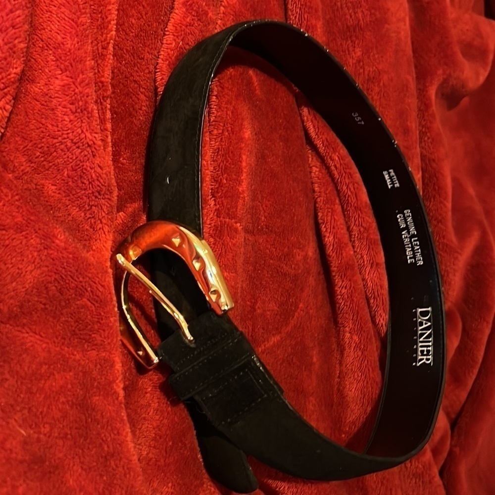 Danier Leather luxe suede gold buckle Genuine Leather Belt Sz Petite S